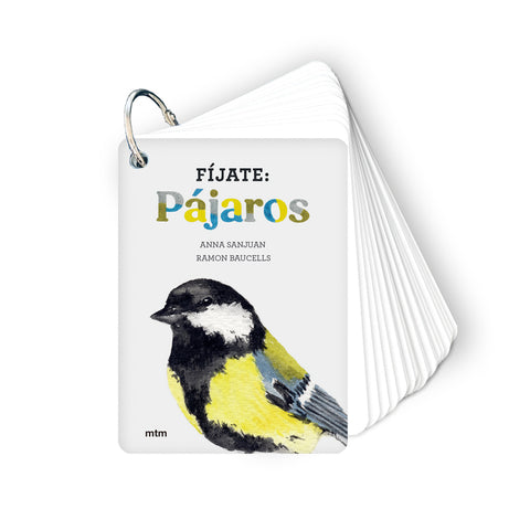  Fíjate: pájaros 