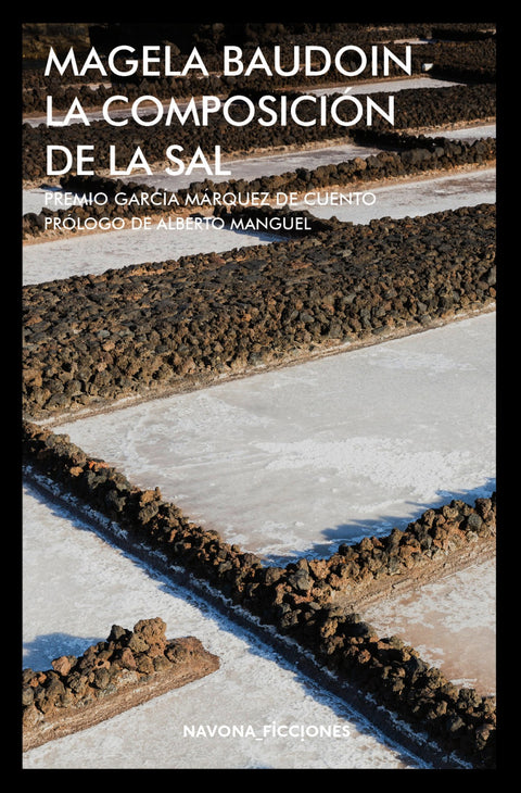  LA COMPOSICIÓN DE LA SAL 