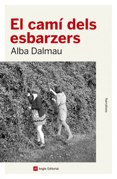  EL CAMÍ DELS ESBARZERS 