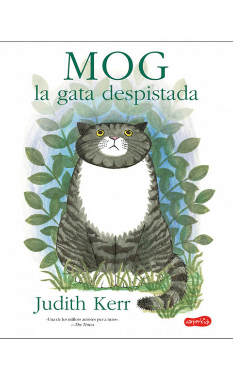  MOG EL GAT DESPISTAT 