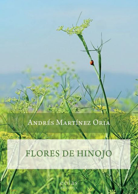  FLORES DE HINOJO 