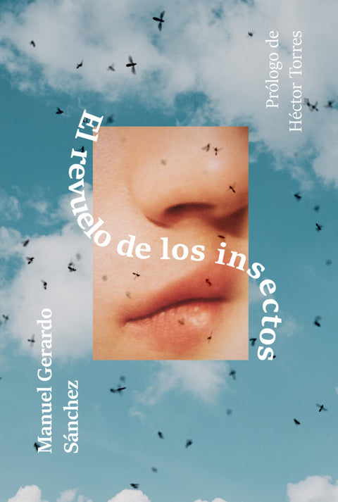  El revuelo de los insectos 