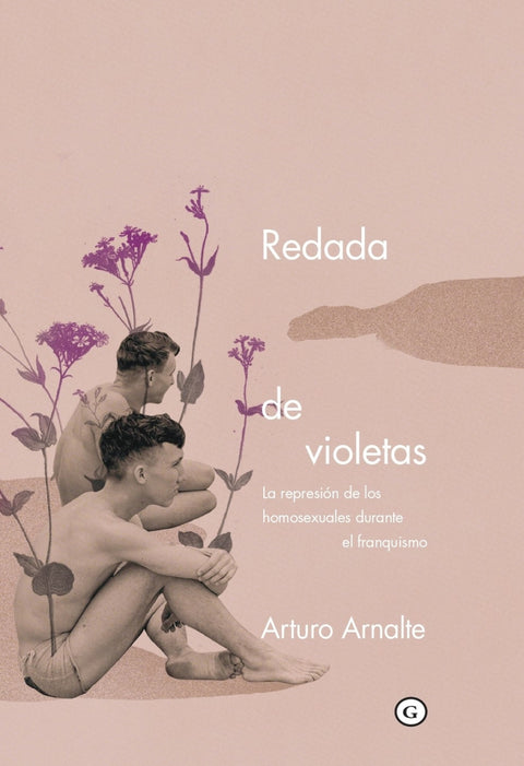  Redada de violetas 