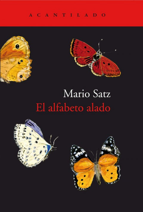  EL ALFABETO ALADO 