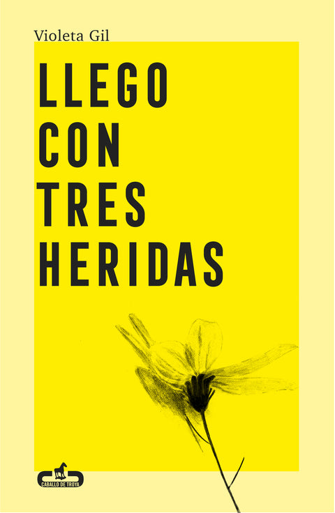  Llego con tres heridas 