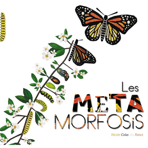  LES METAMORFOSIS 