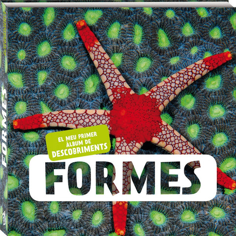  Formes 