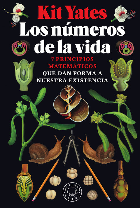  Los números de la vida 
