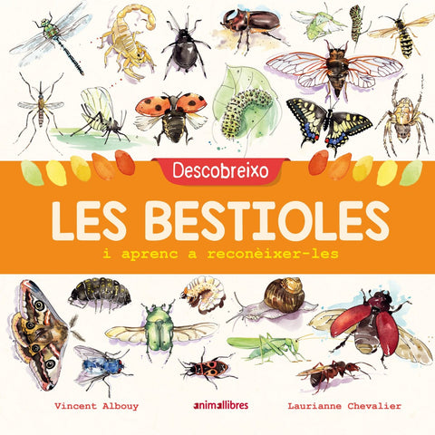  DESCOBREIXO LES BESTIOLES I APRENC A RECONEIXER-LES 