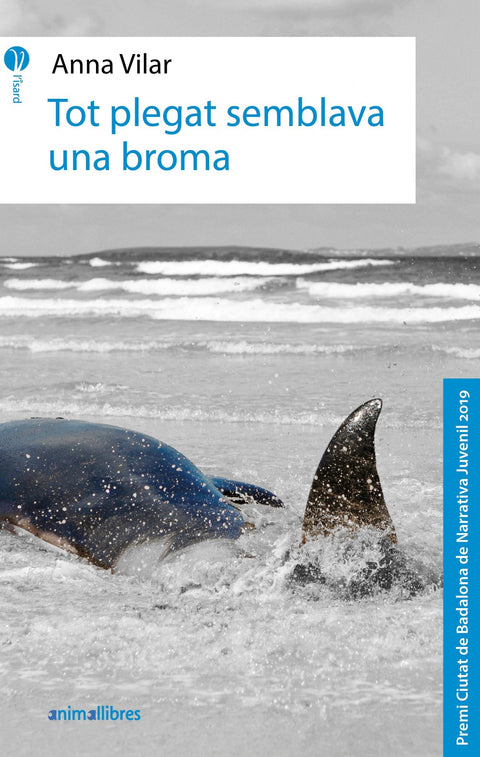  Tot plegat semblava una broma 