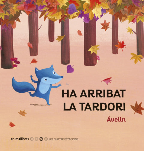 Ha arribat la tardor! 