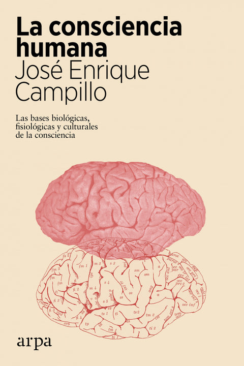  La consciencia humana 