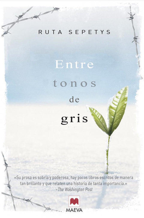  ENTRE TONOS DE GRIS 