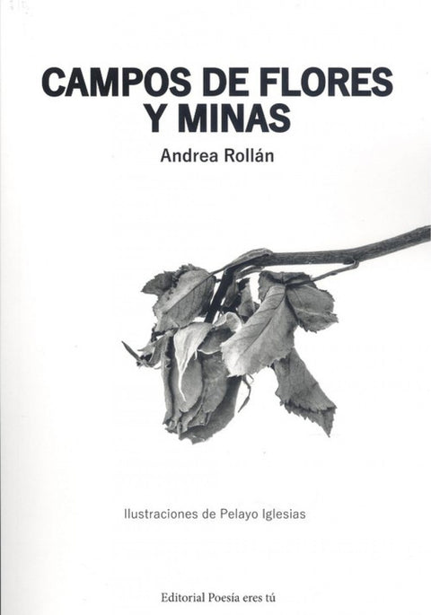  CAMPOS DE FLORES Y MINAS 