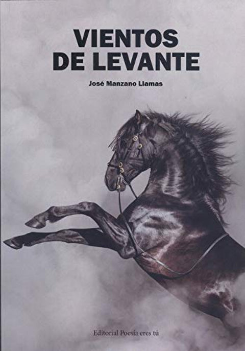  VIENTOS DE LEVANTE 