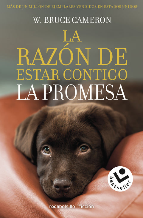  La razón de estar contigo. La promesa 
