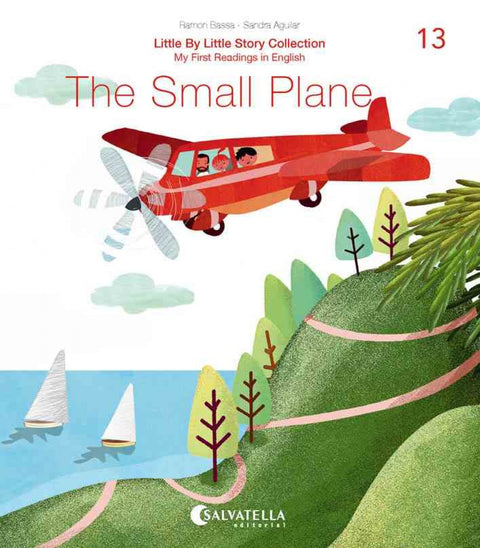  The Small Plane 