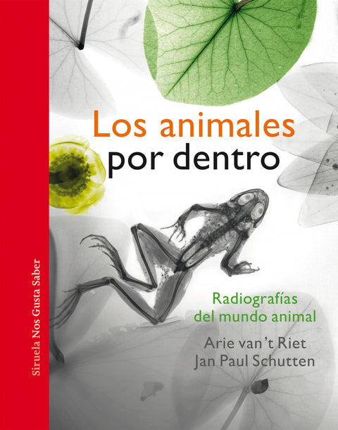  Los animales por dentro 