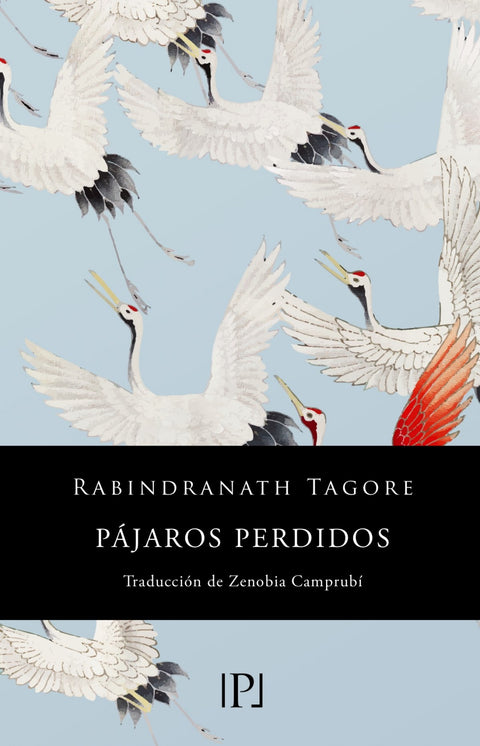  Pájaros perdidos (Sentimientos) 