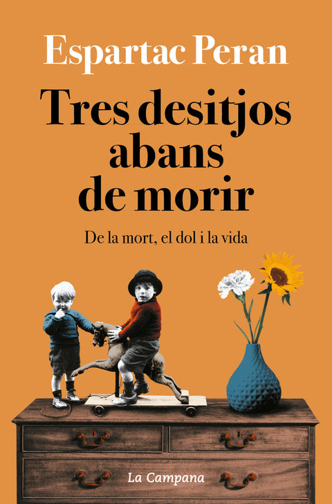  TRES DESITJOS ABANS DE MORIR 