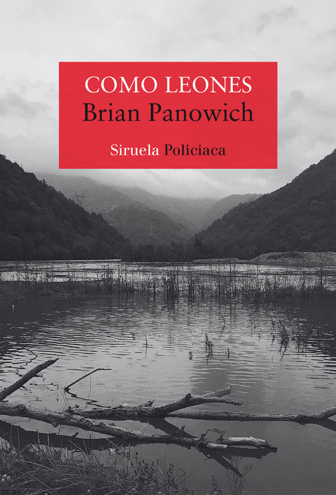  Como leones 