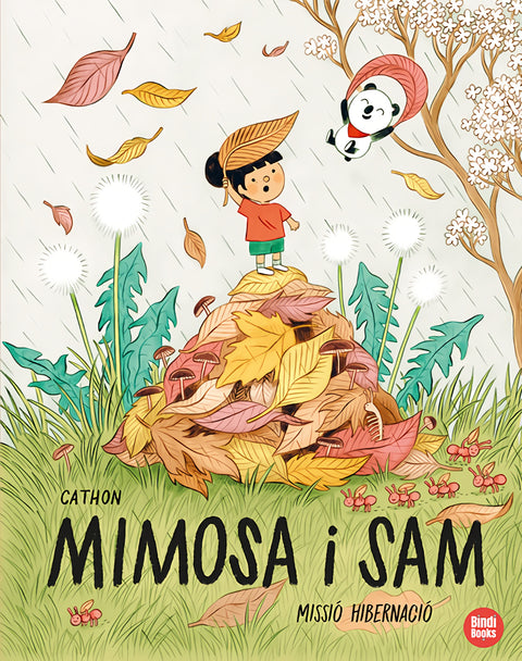  Missió hibernació 