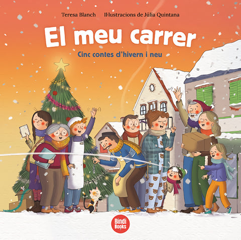  El meu carrer 