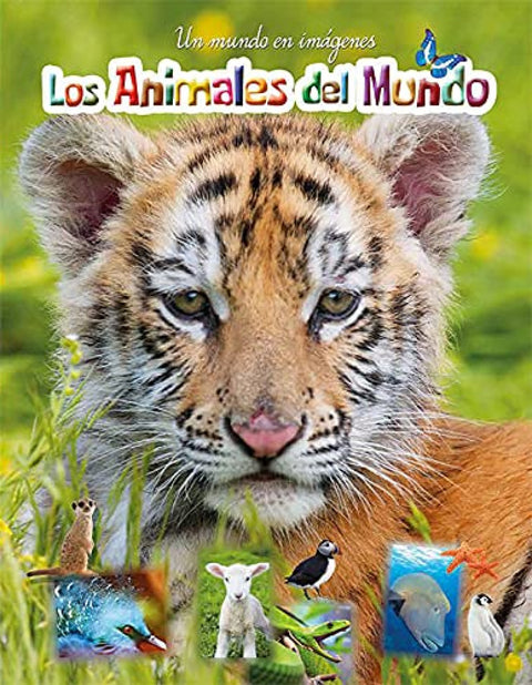  Los animales del mundo 