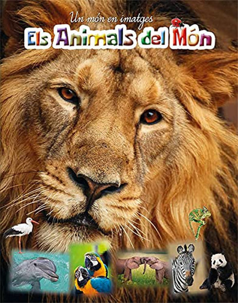  Els animals del món 