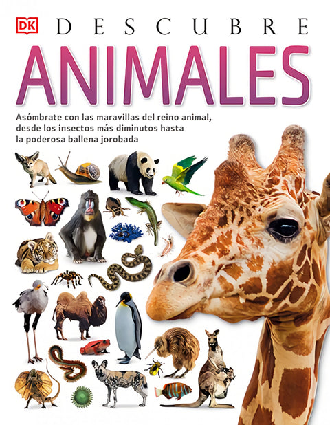  Animales, Descubre 