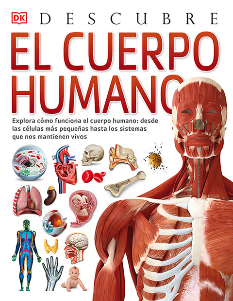  El cuerpo humano, Descubre 