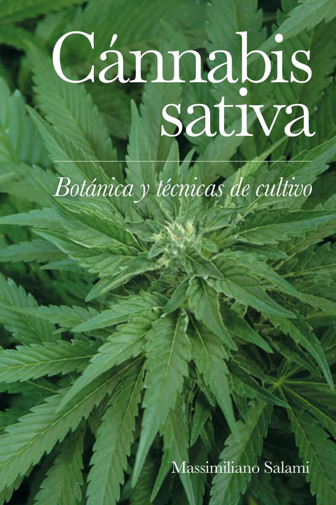  Cánnabis sativa 