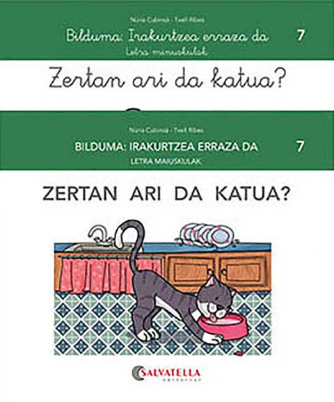 Zertan ari da katua? 