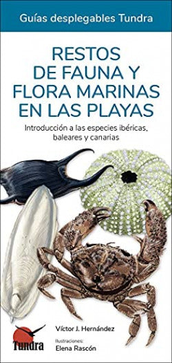  RESTOS DE FAUNA Y FLORA MARINAS EN LAS PLAYAS 