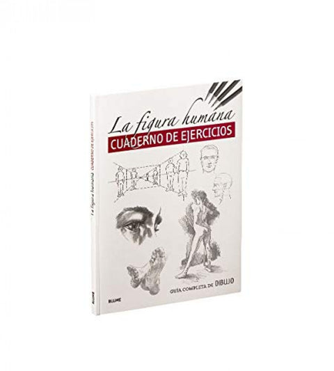  Guía completa de dibujo. Figura humana (ejercicios) 
