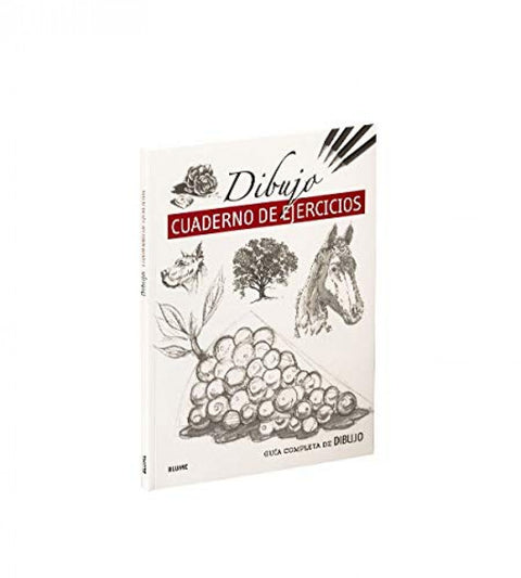  Guía completa de dibujo. Dibujo (ejercicios) 