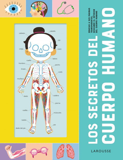  Los secretos del cuerpo humano 