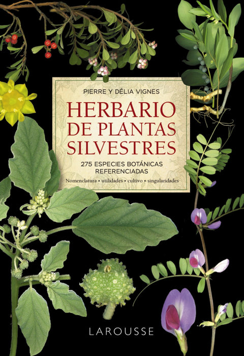  Herbario de plantas silvestres 