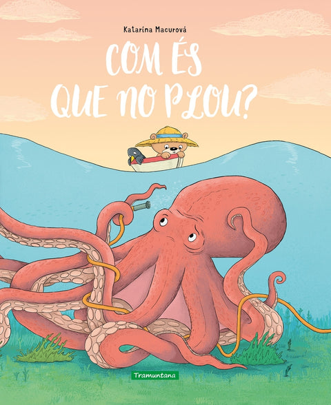  Com és que no plou? 
