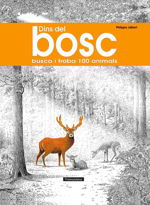  Dins del bosc 