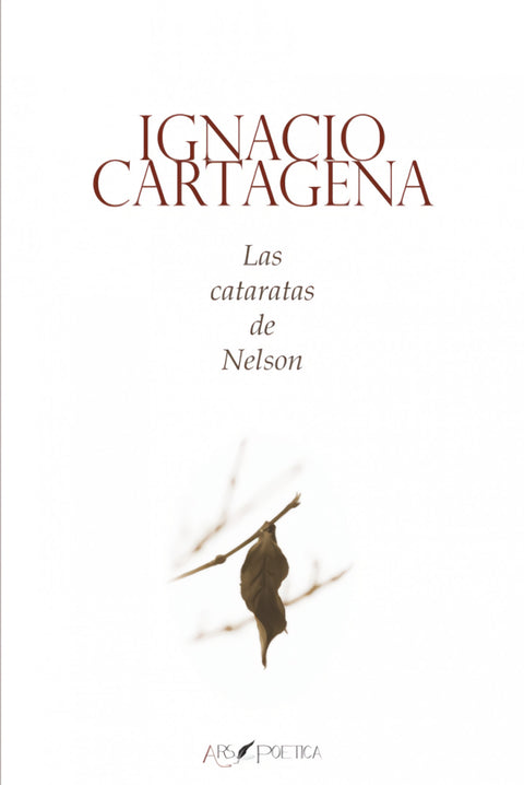  Las cataratas de nelson 
