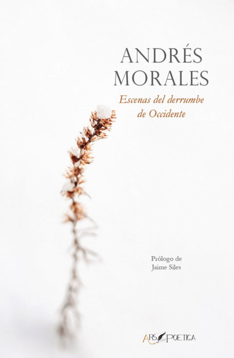  Escenas del derrumbe de Occidente 