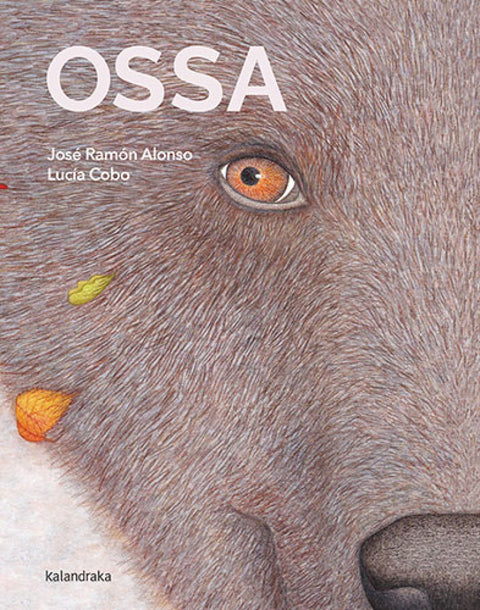  Ossa 