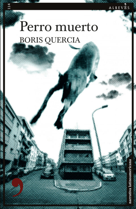  Perro muerto 