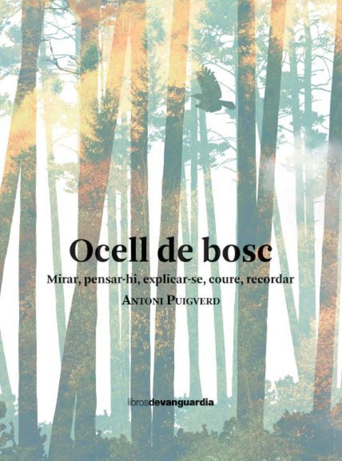 Ocell de bosc 