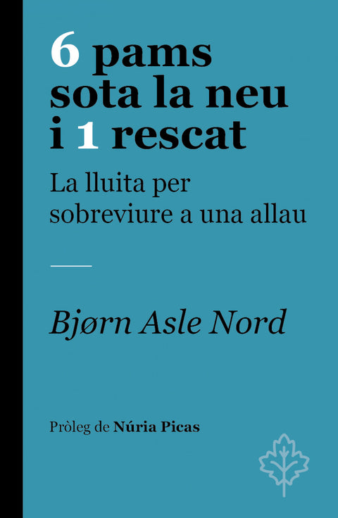  6 pams sota la neu i 1 rescat 