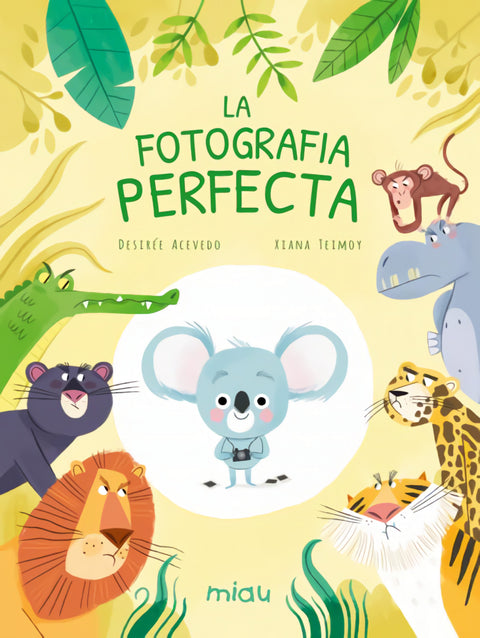  La fotografia perfecta 