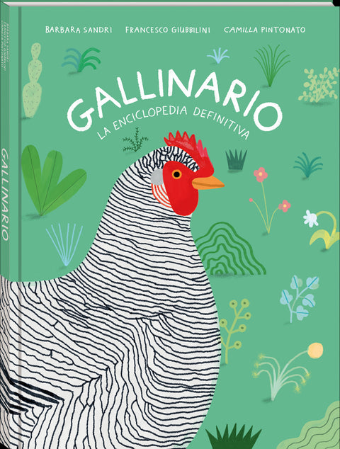  Gallinario 