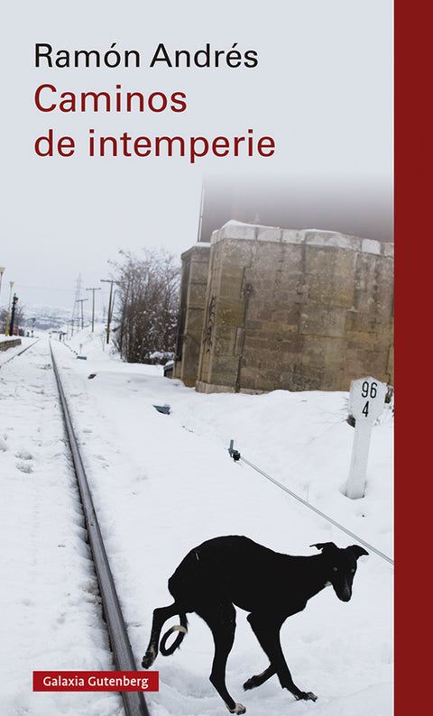  Caminos de intemperie 