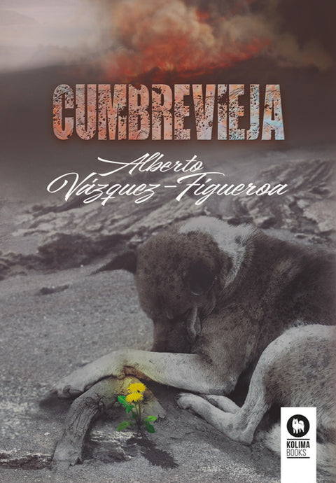 Cumbre Vieja 